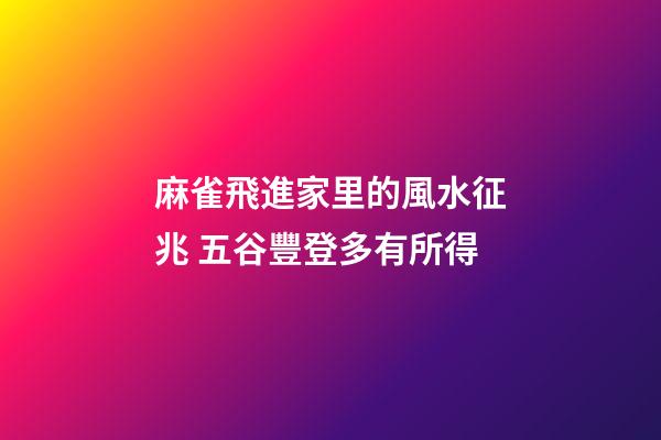 麻雀飛進家里的風水征兆 五谷豐登多有所得